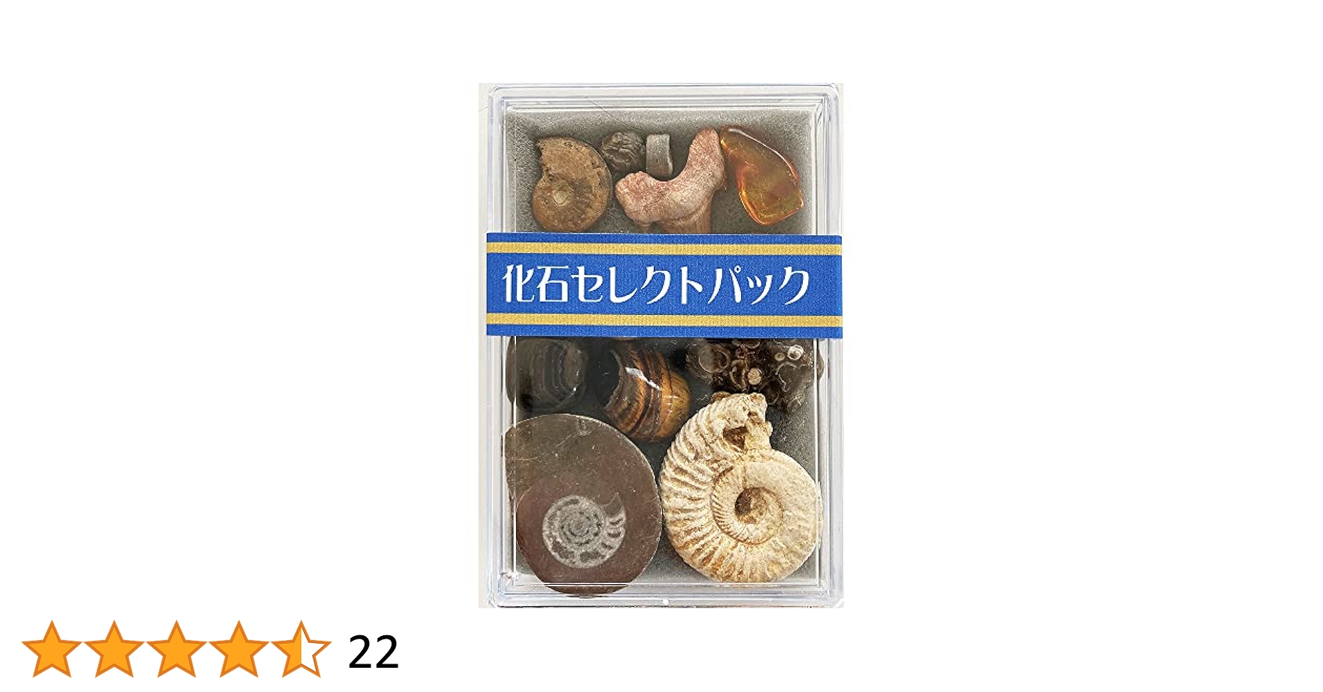 古生物/化石セット Amazon | ジオワールド (GEOWORLD) 古生物化石発掘セット